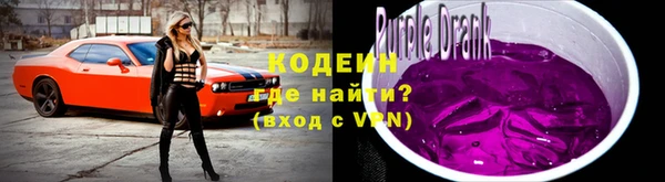 Альфа ПВП Няндома