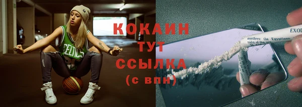 Альфа ПВП Няндома