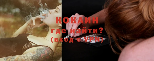 Альфа ПВП Няндома