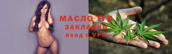 Альфа ПВП Няндома