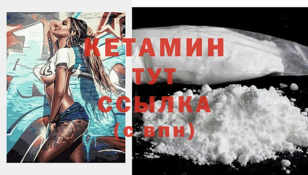Альфа ПВП Няндома