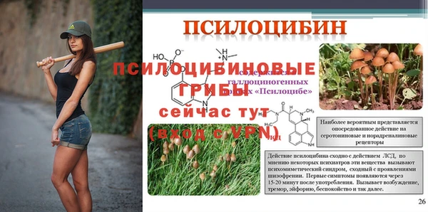 герыч Нязепетровск