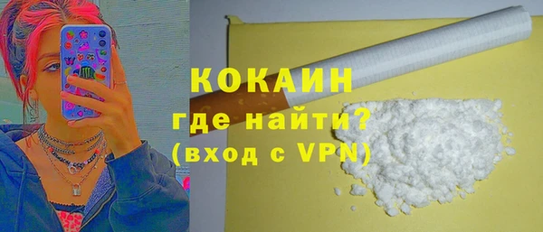Альфа ПВП Няндома